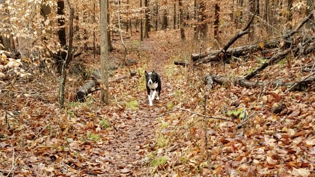Running Toward Me
